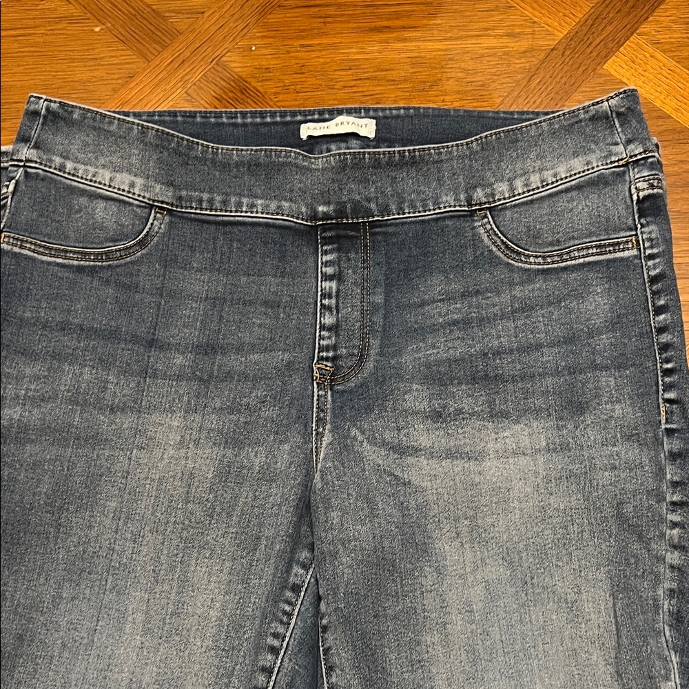 Lane Bryant Denim High-Rise Jegging Size 16